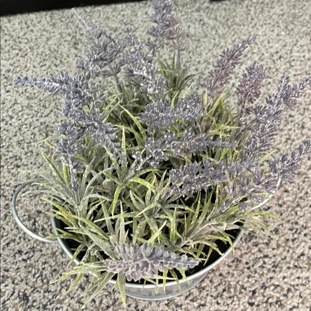 Lavender and Greenery in Galvanized Planter